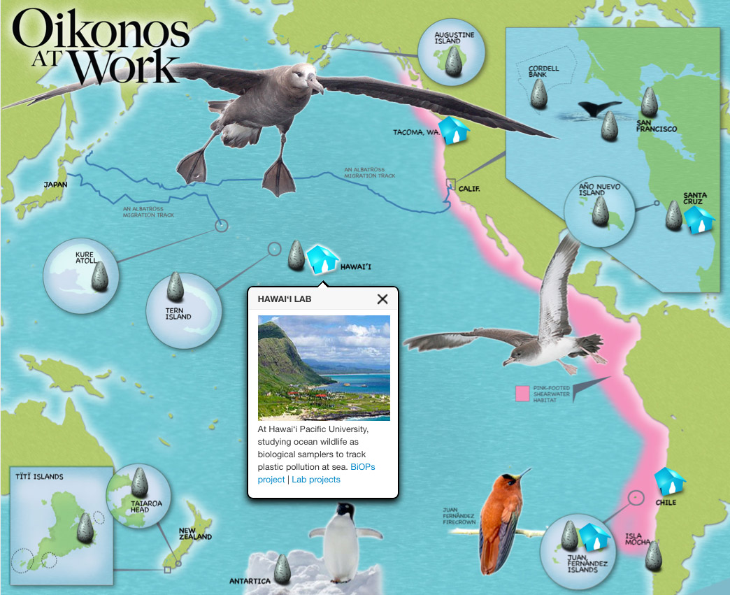 Interactive infographic for non-profit Oikonos
